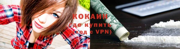 крисы Переславль-Залесский