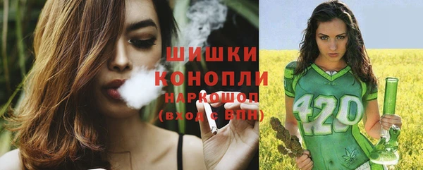 крисы Переславль-Залесский