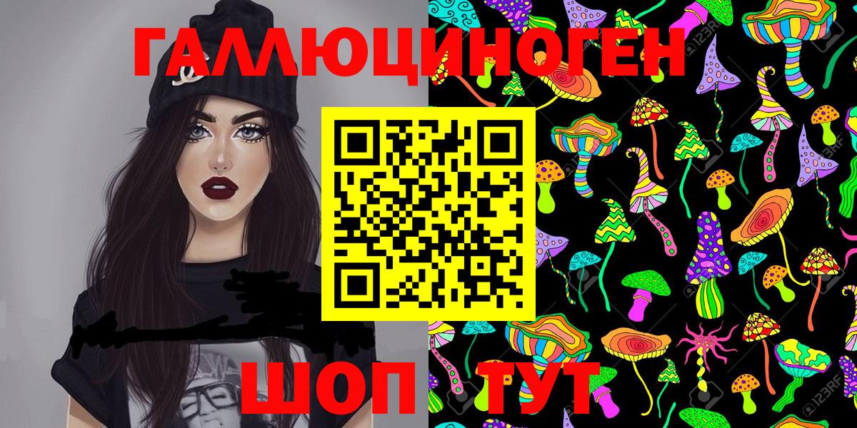 Псилоцибиновые грибы Psilocybine cubensis Апатиты
