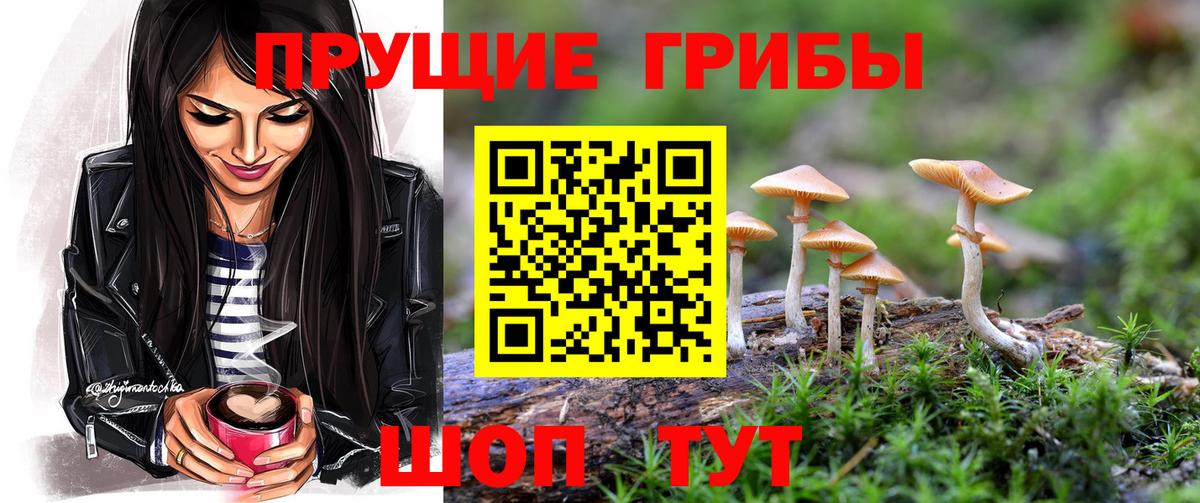 Апатиты  Псилоцибиновые грибы мицелий  Вход с VPN 